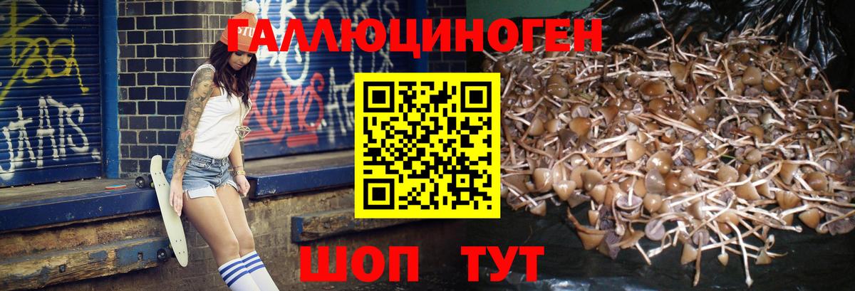 Псилоцибиновые грибы GOLDEN TEACHER  Вход с VPN  Бузулук 